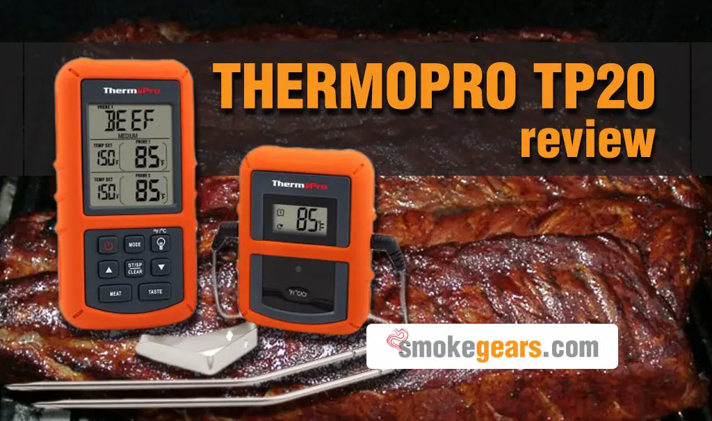 Thermopro tp20 review