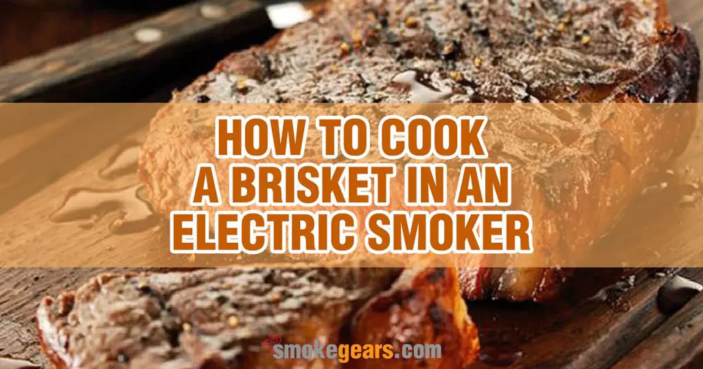 How to Cook a Brisket in an Electric Smoker