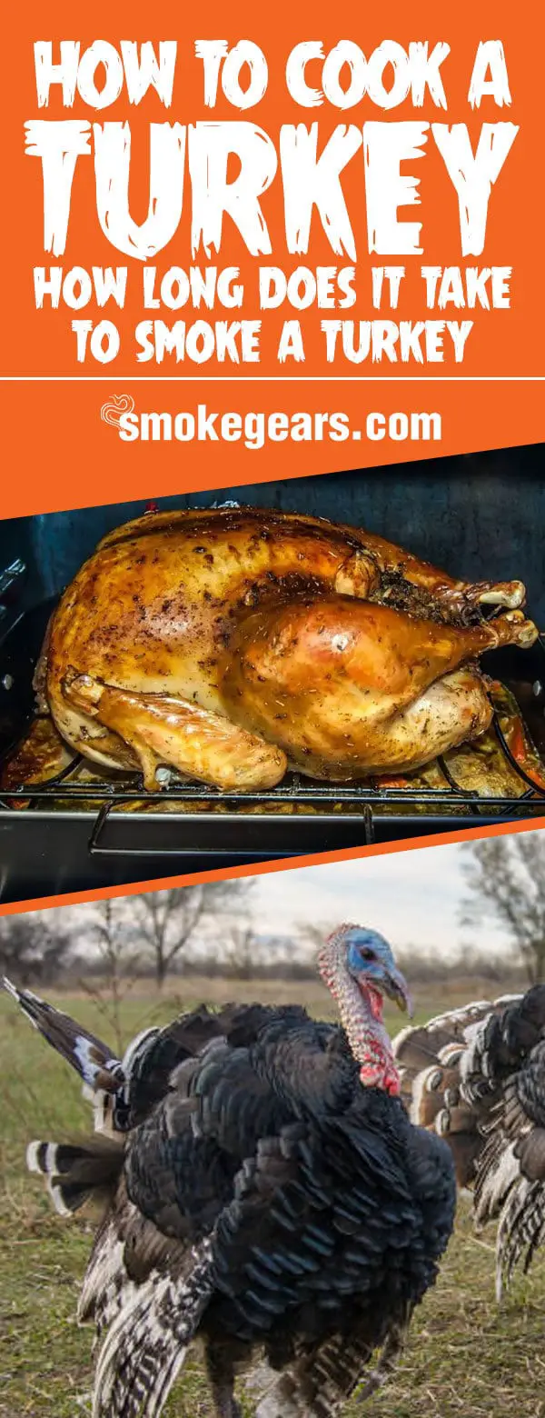 How to Cook a Turkey