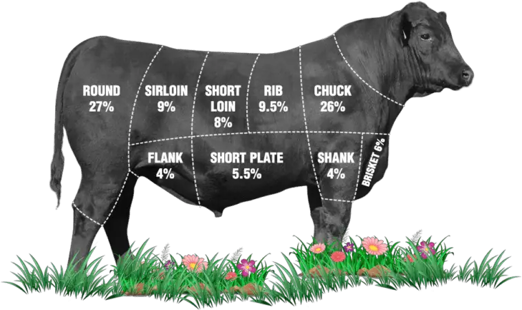 Beef Cuts Chart November 2023 What You Needed To Know 1772