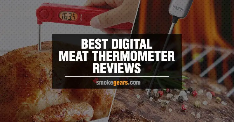 Best Digital Meat Thermometer reviews