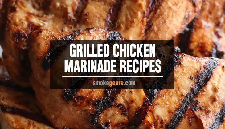 Best Grilled Chicken Marinade Recipes