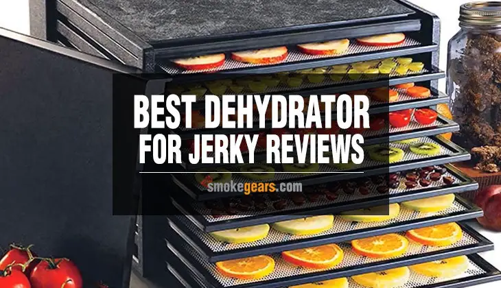 Best Dehydrator For Jerky Reviews