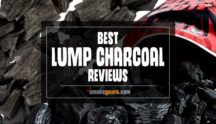 Best Lump Charcoal Reviews