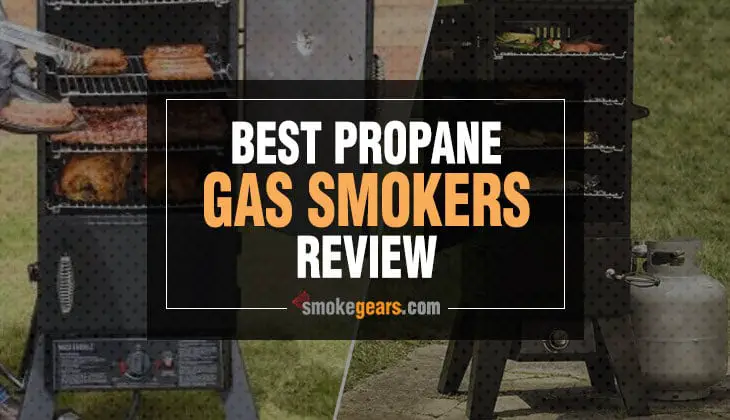 Best Propane Gas Smokers Review