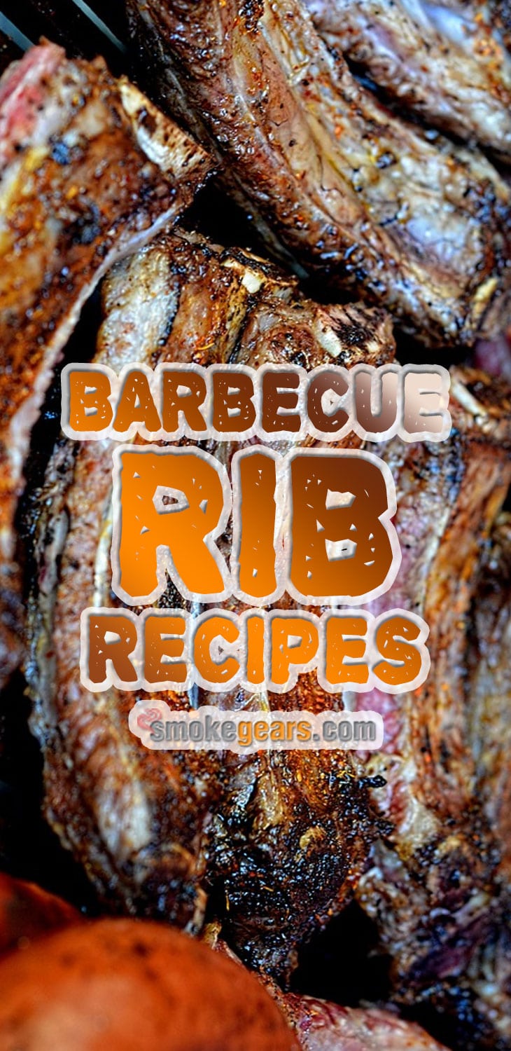 Barbecue Rib Recipes